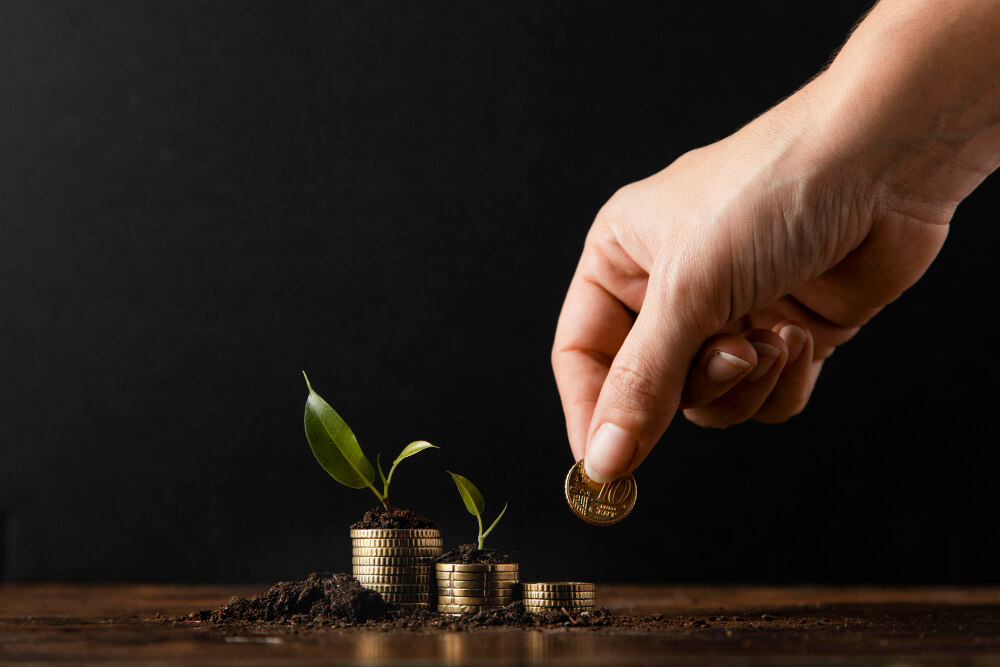 Como Organizar as Finanças Pessoais: Guia Completo para Assumir o Controle do Seu Dinheiro 3 Como Organizar as Financas Pessoais 02